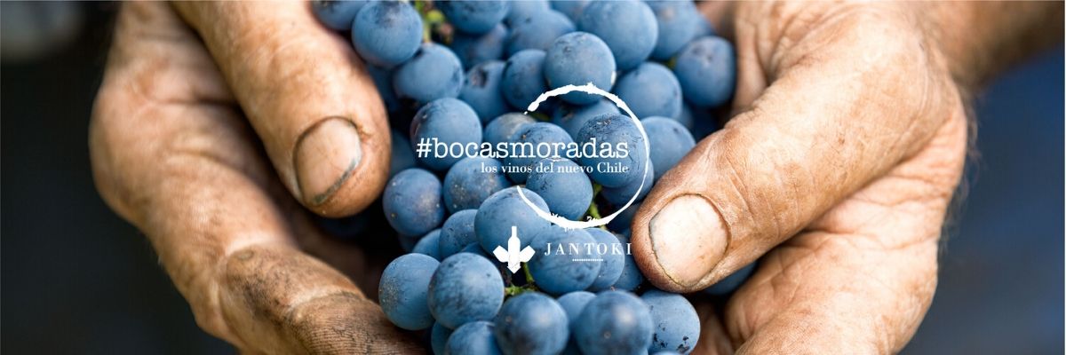 Bocas Moradas, un acercamiento al vino de pequeños productores