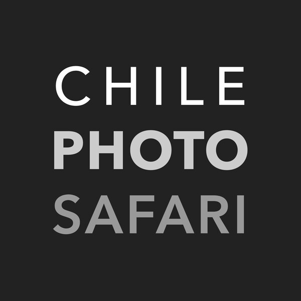 Chile Photo Safari